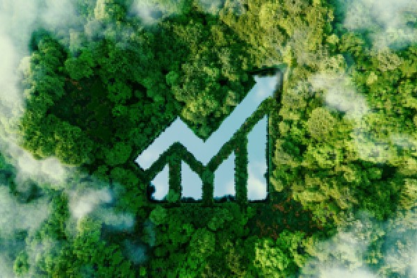 c罗足球比赛